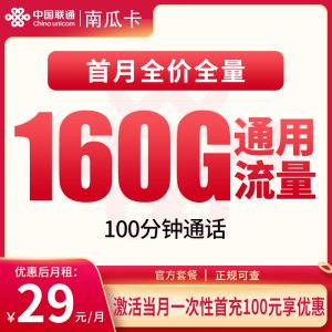 联通南瓜卡29元160G+100分钟【只发安徽】