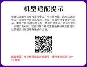 广电陕雨卡29元130G+200分钟【只发陕西】