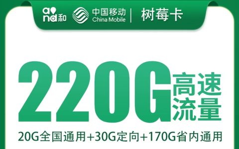 移动树莓卡29元220G【只发重庆】