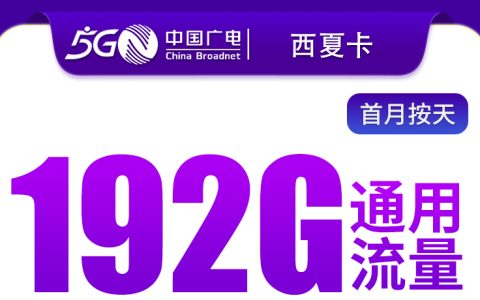 广电西夏卡29元192G【只发广西】