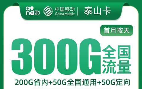 移动泰山卡29元300G+100分钟【只发山东11市】