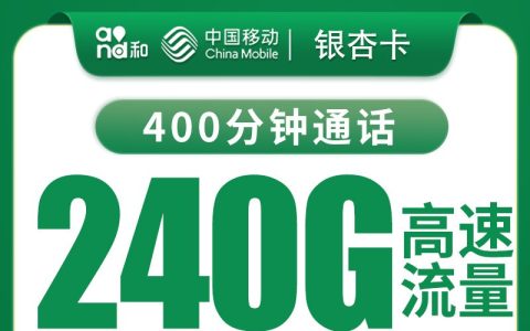 移动银杏卡39元240G+400分钟【只发河南】