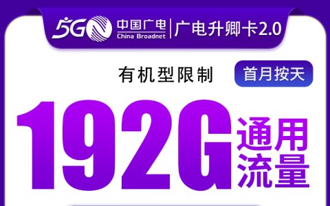 广电升卿卡29元192G通用【只发江西】