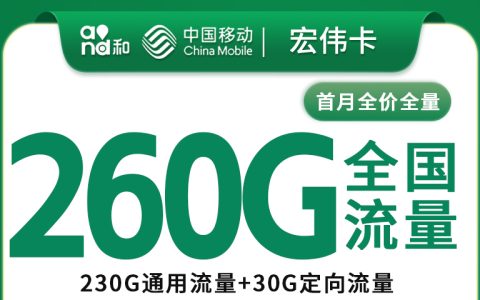 移动宏伟卡39元260G+100分钟【只发东莞】