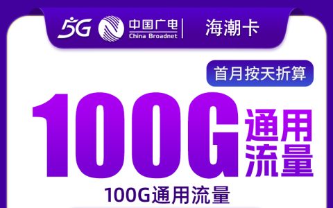 广电海潮卡228元包年100G+100分钟【只发上海】