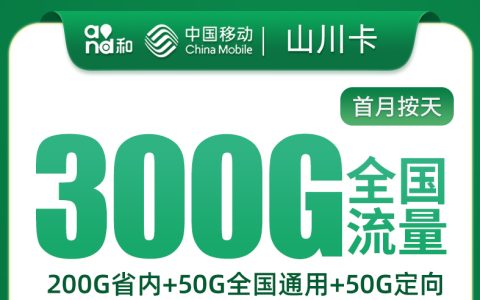 移动山川卡29元300G+100分钟【只发山东济南/聊城】