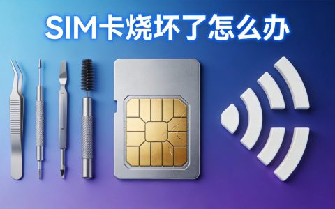SIM卡烧坏了什么症状？补办要多少钱？2026年解答