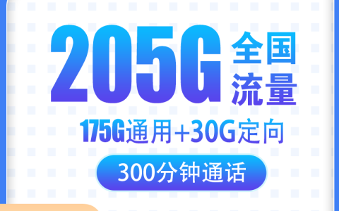 G1电信光亮卡29元205G+300分钟【只发浙江】