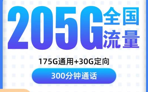 【已下架】G2电信光子卡39元205G+300分钟【只发浙江】