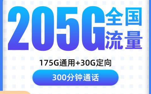 G1电信光电卡29元205G+300分钟【只发浙江】