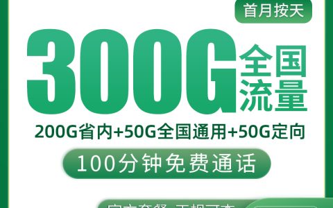 G1移动泰方卡30元300G+100分钟【只发山东】