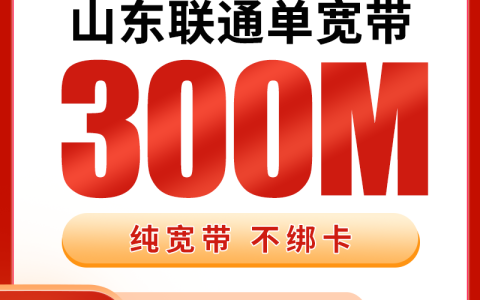山东联通480元包1年单宽带300M【不含调试费】
