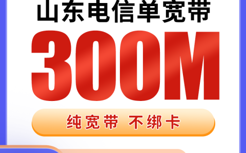 山东电信480元包1年单宽带300M【不含调试费】