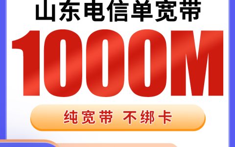 山东电信840元包1年单宽带1000M【不含调试费】