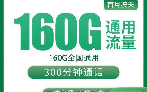 移动金莲卡39元160G+300分钟【只发河北】