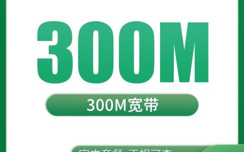 上海融合宽带28元300M【含300M宽带】