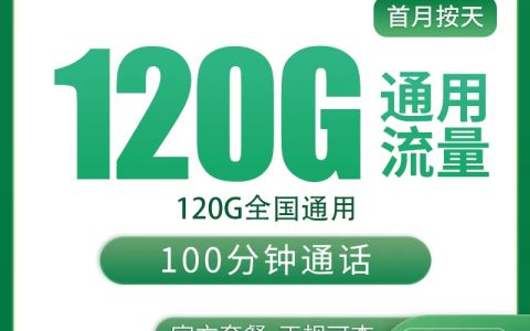 G1移动金兰卡29元120G+100分钟【只发河北】