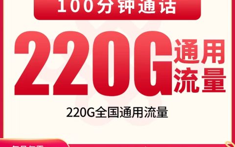 联通双生卡29元220G+100分钟【只发贵州】