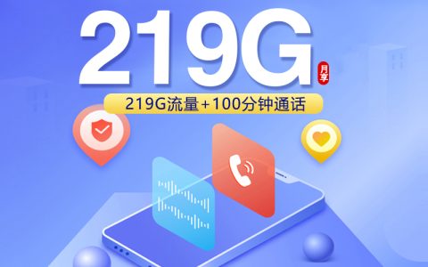 联通飞姿卡【19元219G+100分钟】【仅发广西】