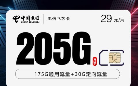 电信飞艺卡【29元205G】【仅发山东】
