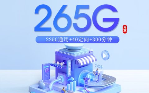 广东电信专享卡【29元265G+300分钟】【只发广州东莞】