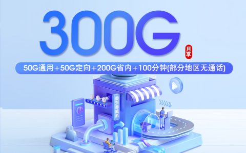 山东移动省内卡2.0【30元300G+100分钟】