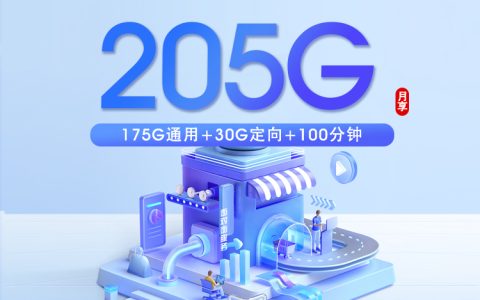 广东电信省内卡新 【39元205G+100分钟】