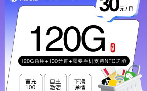 河北移动专享卡【30元120G+100分钟】