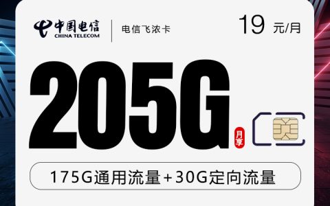 电信飞浓卡【19元205G】【仅发山东】