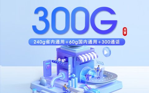 潍坊联通专属卡【28元300G+300分钟】