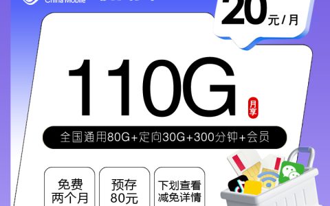 移动飞罗卡【20元110G+300分钟+会员】