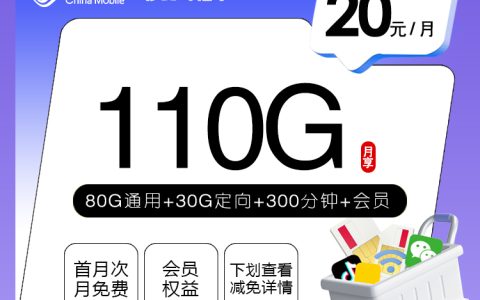 移动飞惜卡【20元110G+300分钟+会员】