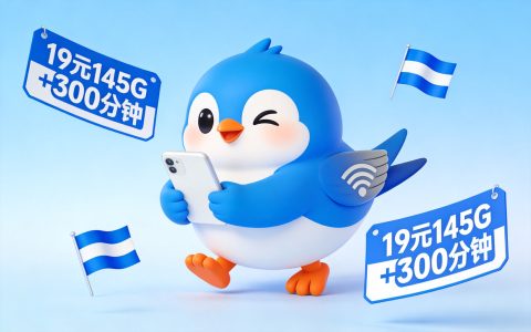 【已下架】电信飞燕卡19元145G+300分钟【只发浙江】