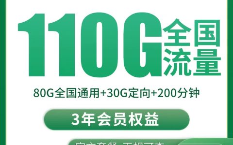 【已下架】G2移动浣熊卡20元110G+200分钟【发全国】