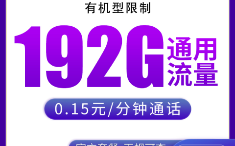 【已下架】N1广电灵湘卡29元192G【只发湖南】