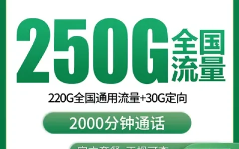 【已下架】N2移动东岳卡29元250G+2000分钟【发全国】