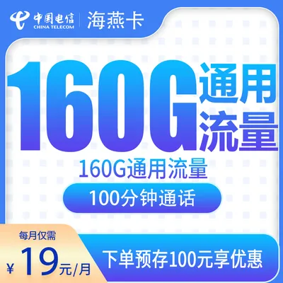 电信海燕卡19元160G+100分钟【只发安徽】