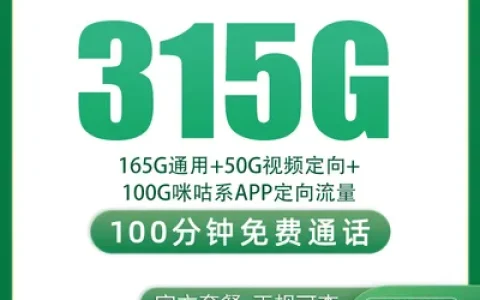 【已下架】G1移动风向卡39元315G+100分钟【只发浙江台州】