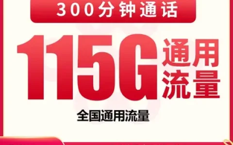 联通龙泉卡39元115G+300分钟【只发黑龙江】