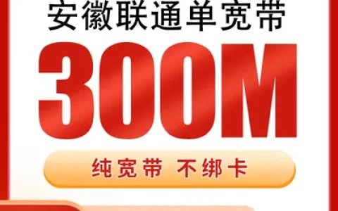 安徽联通单宽带480元包年300M【只发安徽】