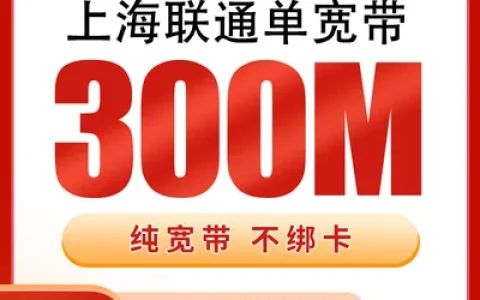 上海联通单宽带480元包年300M【只发上海】
