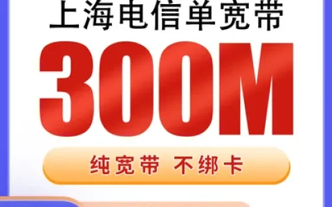 上海电信单宽带720元包年300M【只发上海】