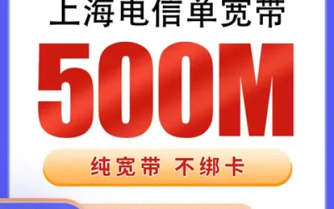 上海电信单宽带960元包年500M【只发上海】