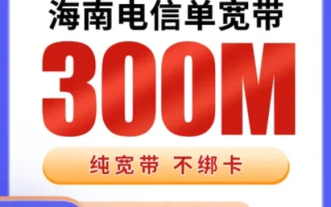 海南电信单宽带960元包年300M【只发海南】