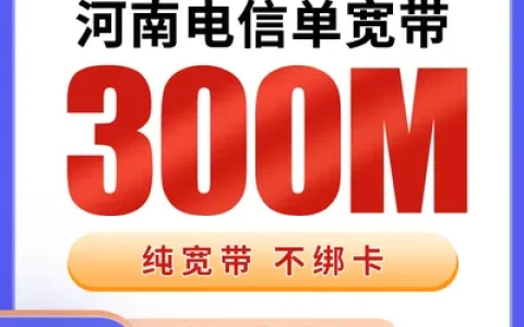 河南电信单宽带540元包年300M【只发河南】