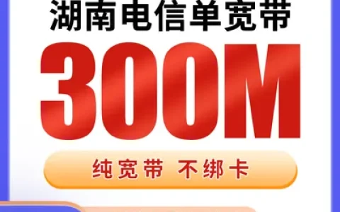 湖南电信单宽带1440元包3年300M【只发湖南】