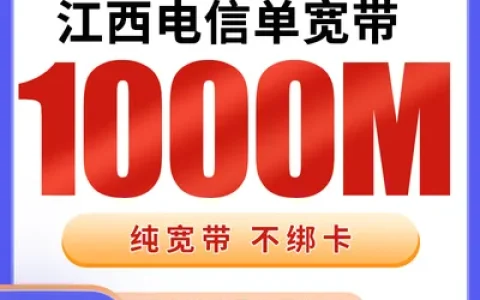 江西电信单宽带1500元包年1000M【只发江西】