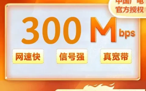 安徽合肥广电 300M一年420元+机顶盒