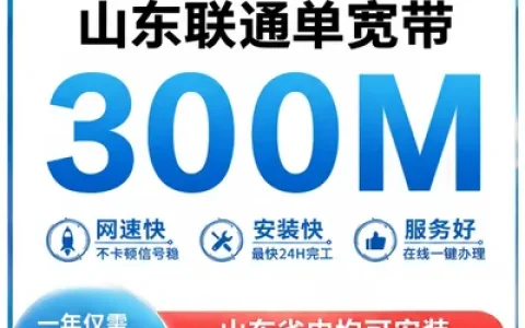 山东联通300M一年