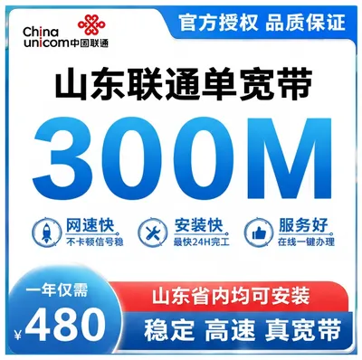 山东联通300M一年
